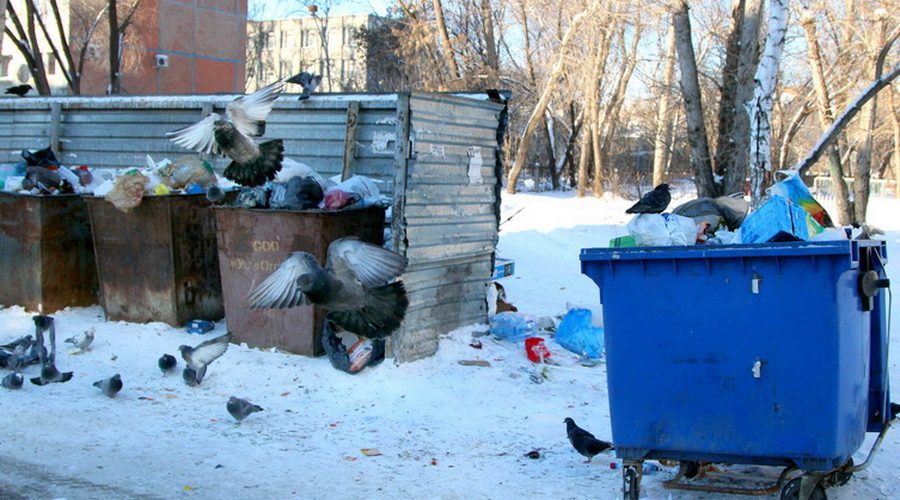 В Сургуте в мусорке нашли мертвого младенца