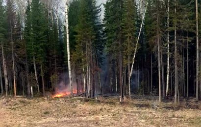 Между Салымом и Демьянкой около ж/д путей горит лес Между Салымом и Демьянкой около ж/д путей горит лес