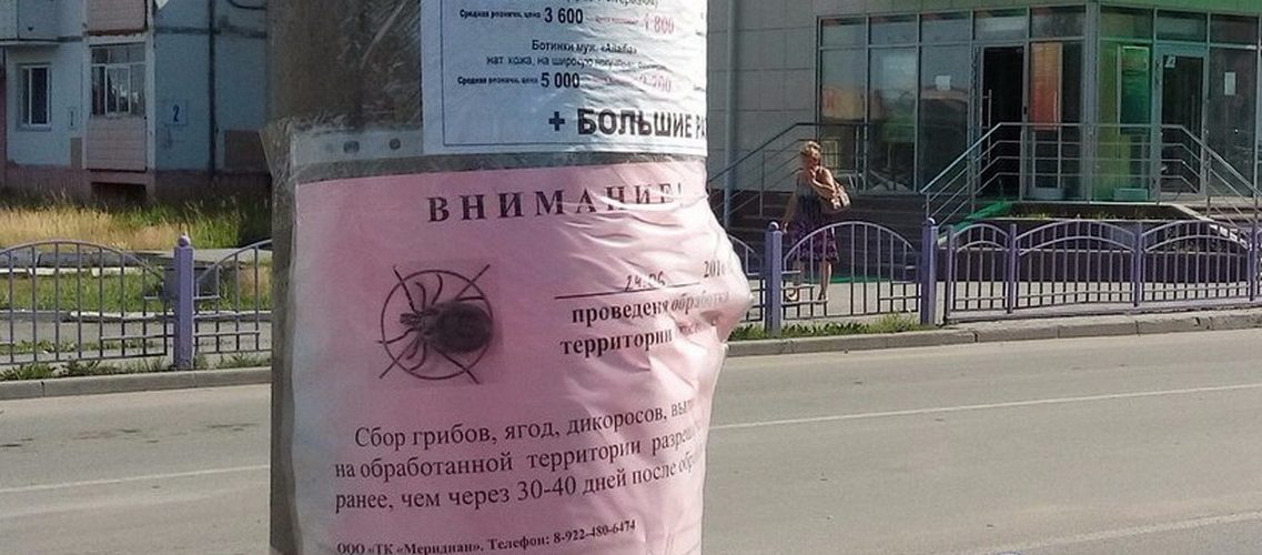 В Югре клещи покусали почти 3,5 тыс человек