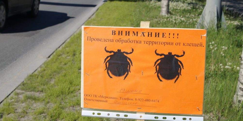 В Нефтеюганске от клещей пострадали около 300 человек.