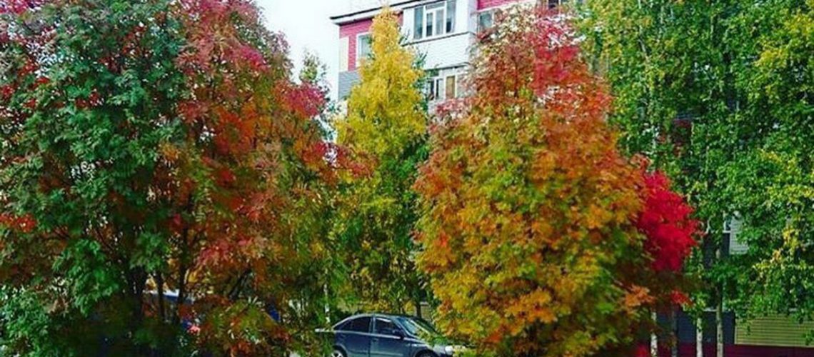 Цвет настроения осень
