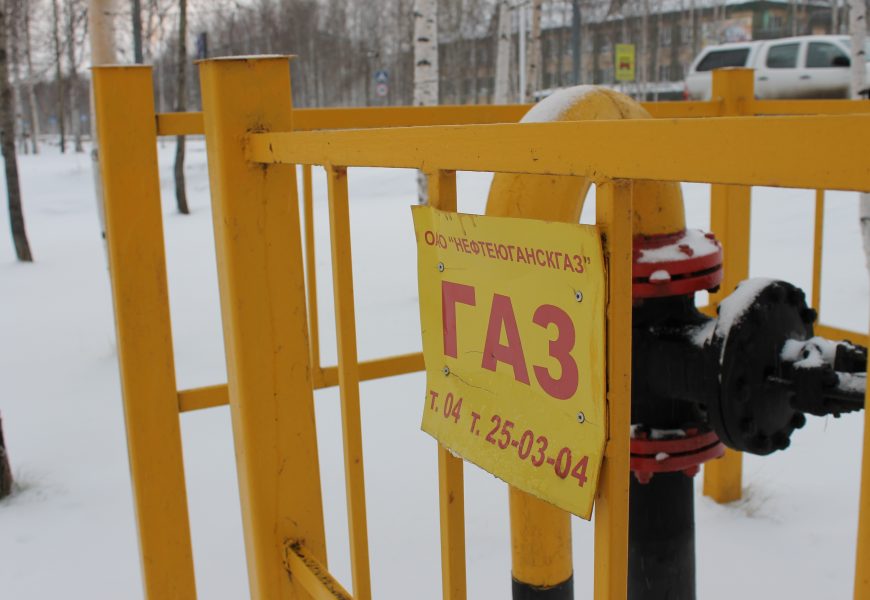 Жителей России хотят обязать установить «умные» счетчики на газ.