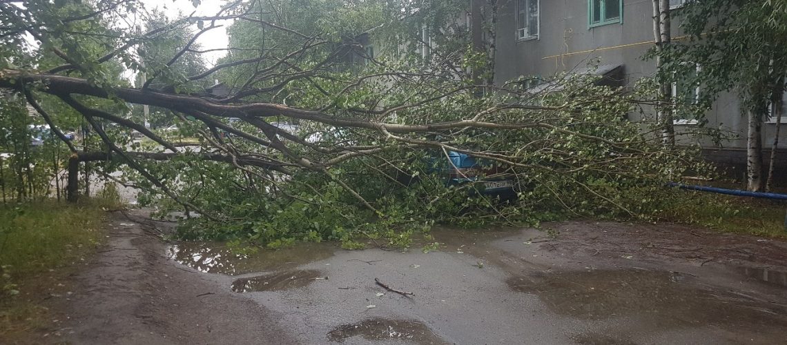 И снова над городом пронесся ураган...