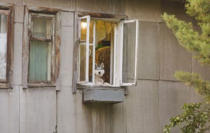 В Югре приняли закон об обращении с животными