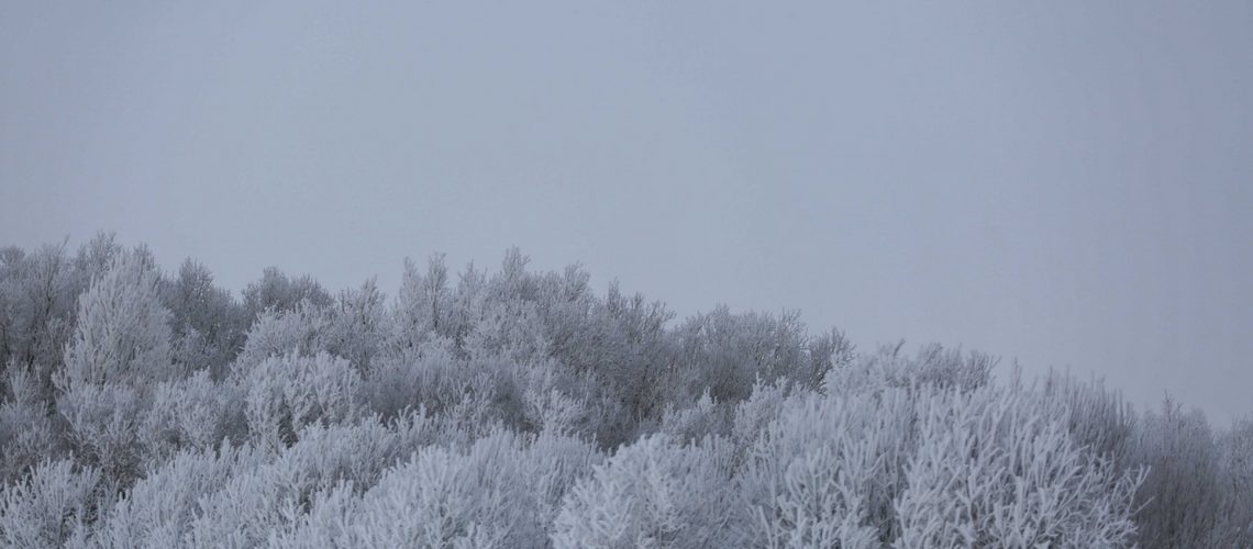 Красоты северной зимы