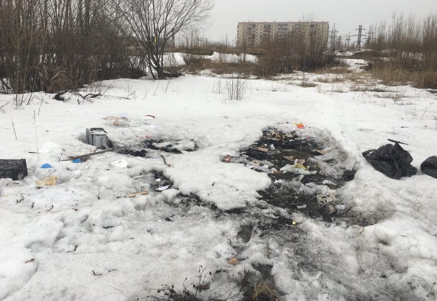 Мособлдума предлагает повысить штрафы за незаконный выброс мусора