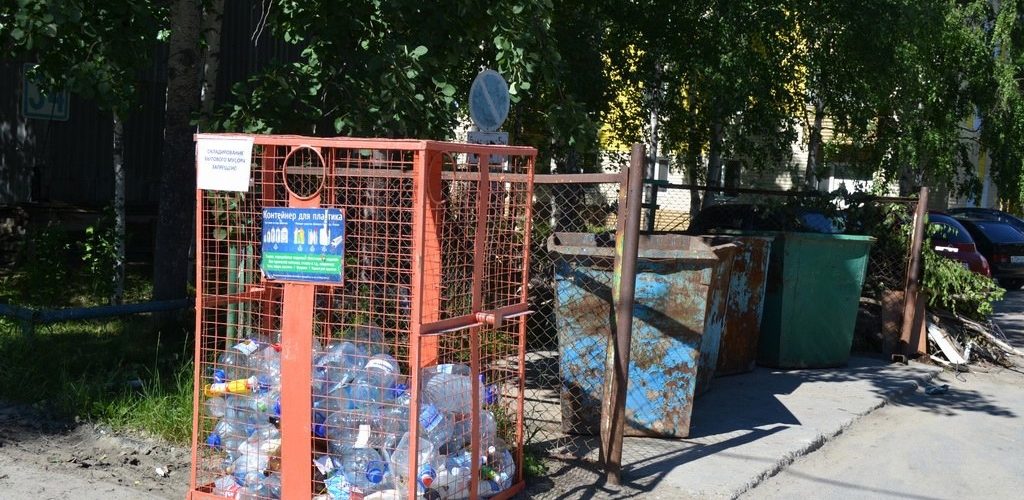 За нарушение режима раздельного сбора мусора в России хотят ввести штрафы. Причиной загрязнения городской среды назвали поведение жителей.