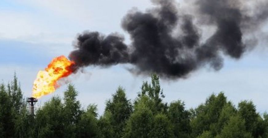 ​Югра на федеральном уровне защитила международный экологический проект и приступает к его исполнению