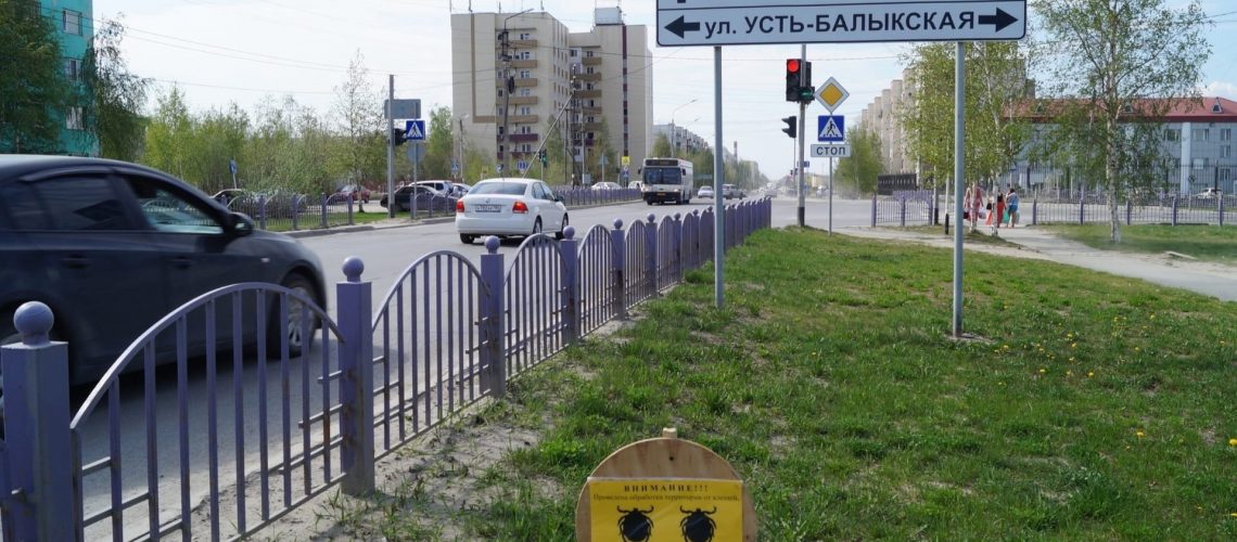 Клещи не спят. Больше 4 тысяч югорчан пострадали от укусов опасных насекомых