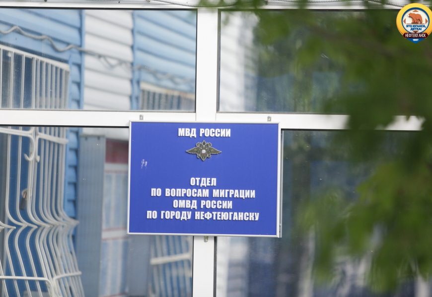 В России планируют запустить мобильное приложение для мигрантов в 2022 году