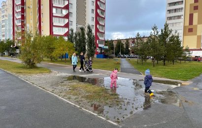 Назван прогнозируемый размер маткапитала на 2024 год
