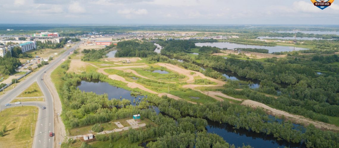Около 100 га лесов будет восстановлено в Югре к 2025 году