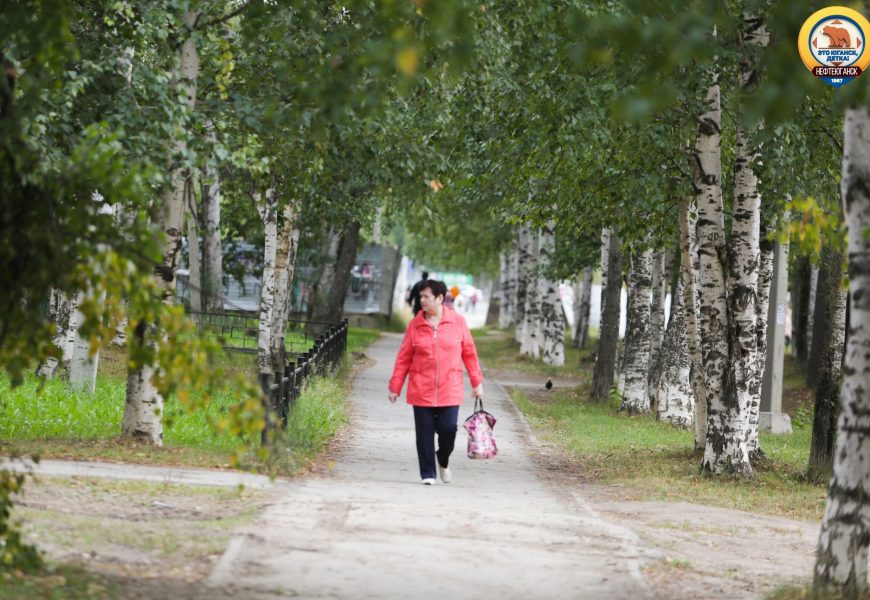 В ПФР объяснили ошибки при начислении пенсии