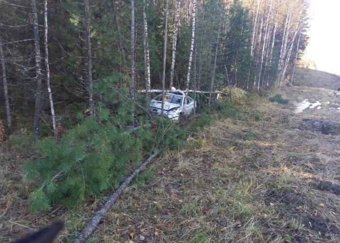 Потянуло в лес: в Югре водитель не справился с управлением и въехал в дерево