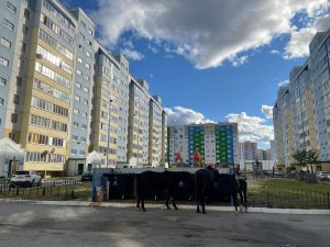 Нефтеюганцы переживают за судьбу беспризорных лошадей