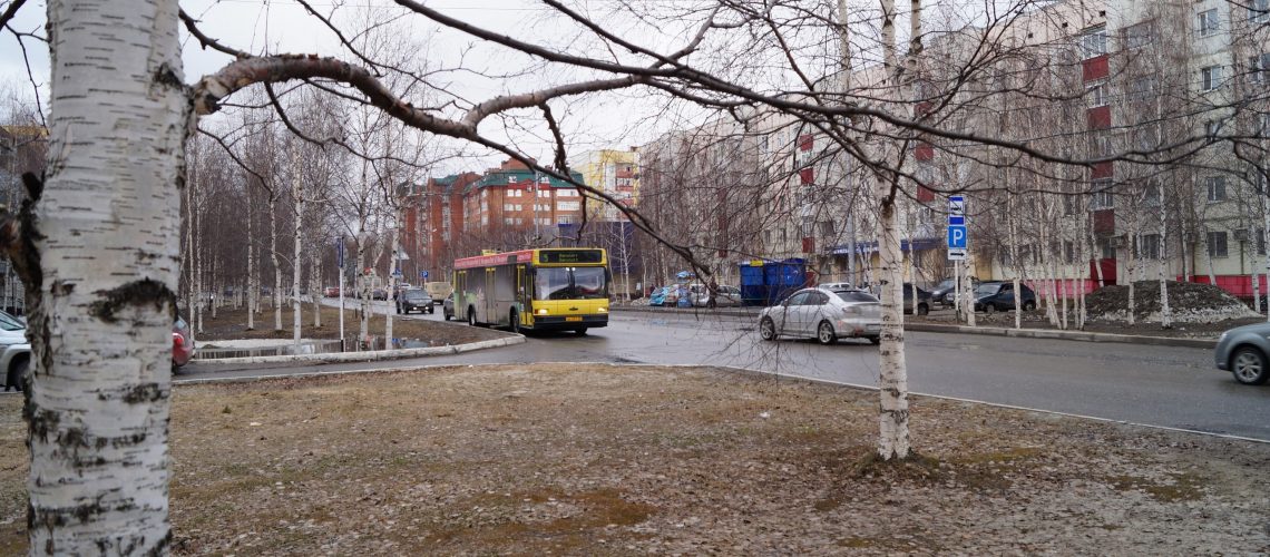 Губернатор Югры поручила обеспечить круглогодичный проезд в дачные кооперативы