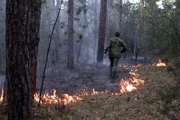 Погода позволила закрыть пожароопасный сезон в Югре