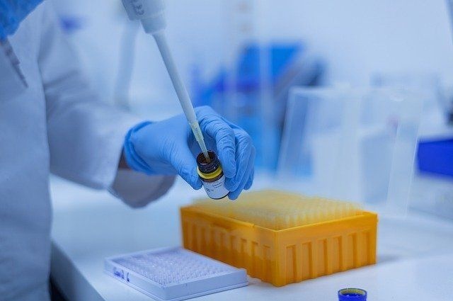 ВОЗ: ПЦР-тесты распознают новый штамм COVID-19