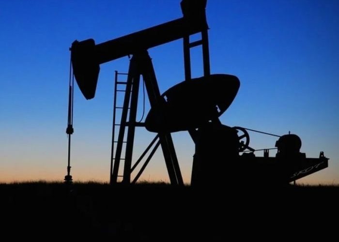 Дочка «Роснефти» попалась на загрязнении леса в ХМАО