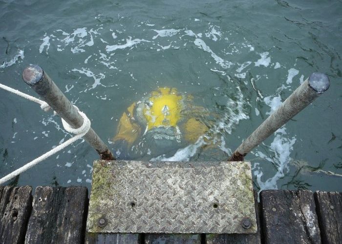 Водолазы нашли человеческие останки в озере на территории Сургутского района