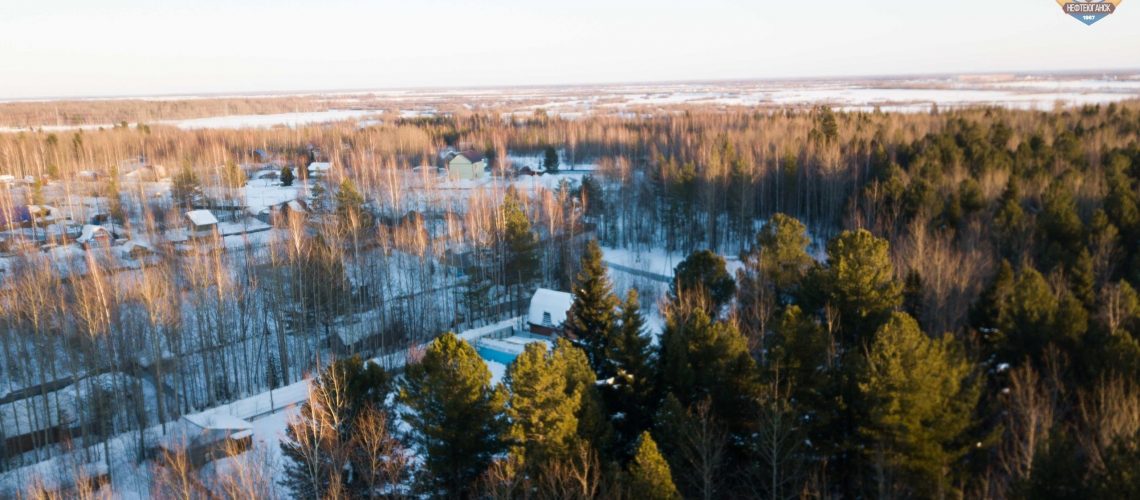 В декабре охрану хвойного молодняка в лесах Югры усилят