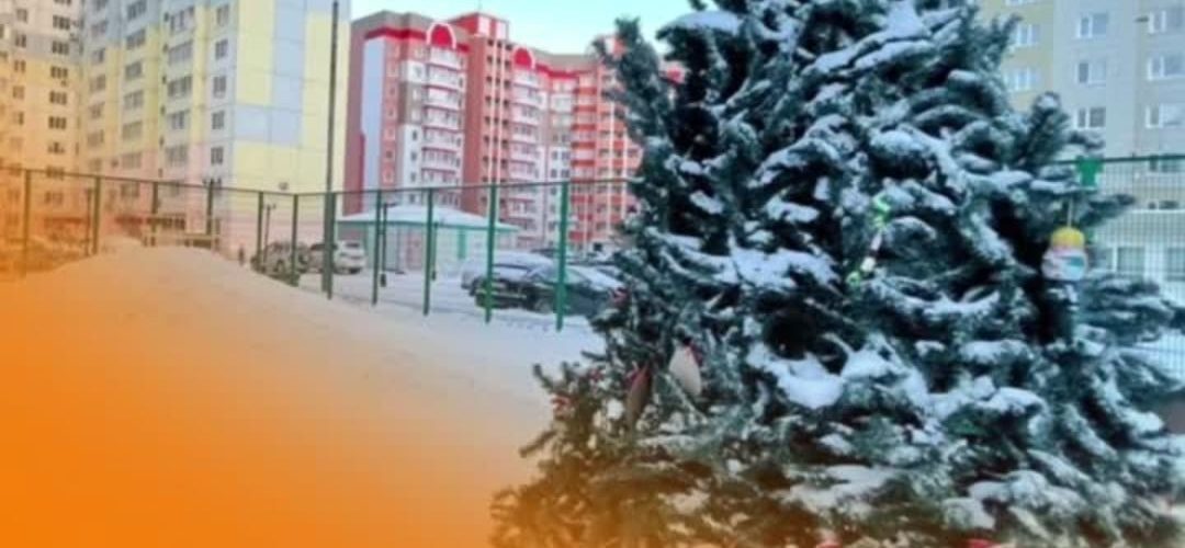 Новый год в каждый двор!