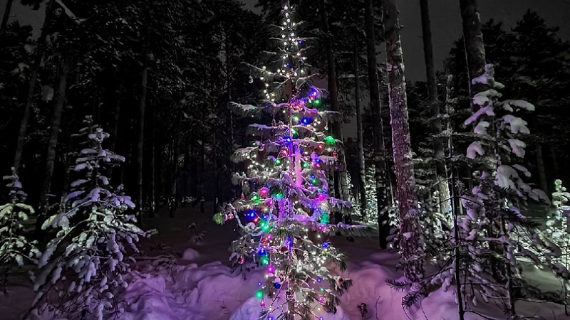 Югорчанин украсил новогоднюю елку в лесу за 28 километров от города