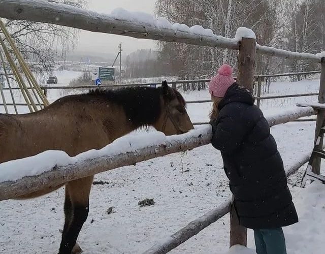 Самозанятые владельцы подсобных хозяйств получат доступ к господдержке