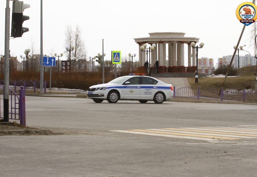 Сводка Госавтоинспекции с 9 по 15 мая 2022 года: