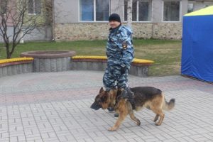 Сегодня прекрасный собачий праздник – день кинолога