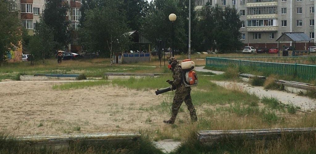 В Югре двоих детей покусали клещи в летнем лагере