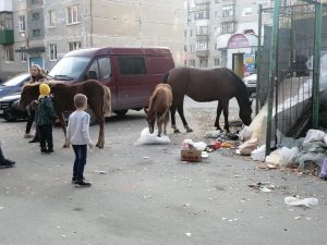 Небезопасные «покатушки».