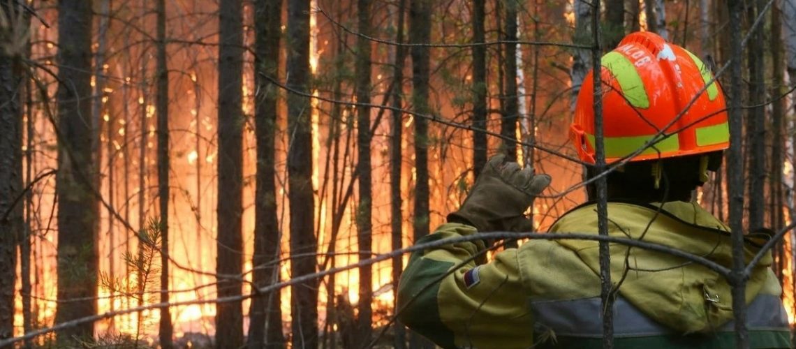 Власти ХМАО намерены потушить лесные пожары к концу недели