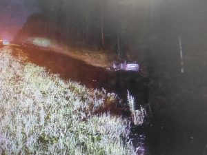 Молодой мужчина погиб из-за лося на трассе Тюмень – Ханты-Мансийск