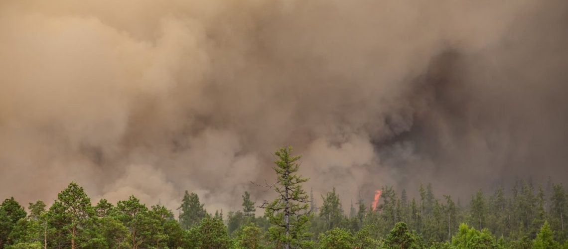 В Югре ввели особый противопожарный режим без запрета посещения лесов