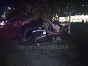 По вине «начинающего водителя» пострадали два человека