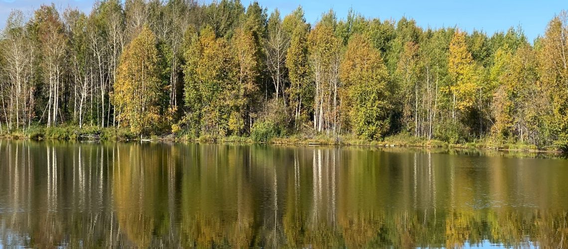В реках и озерах ХМАО наблюдается критическое снижение воды