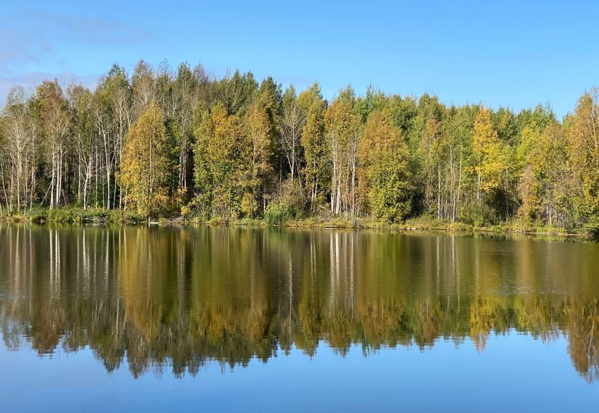 В реках и озерах ХМАО наблюдается критическое снижение воды