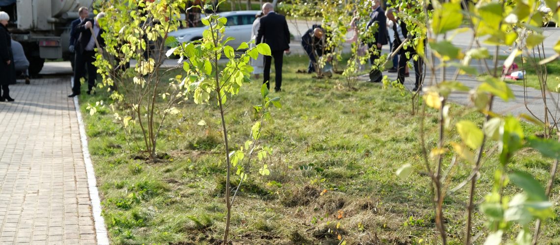 В Югре высадят 14 миллионов деревьев