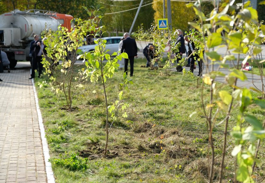 В Югре высадят 14 миллионов деревьев