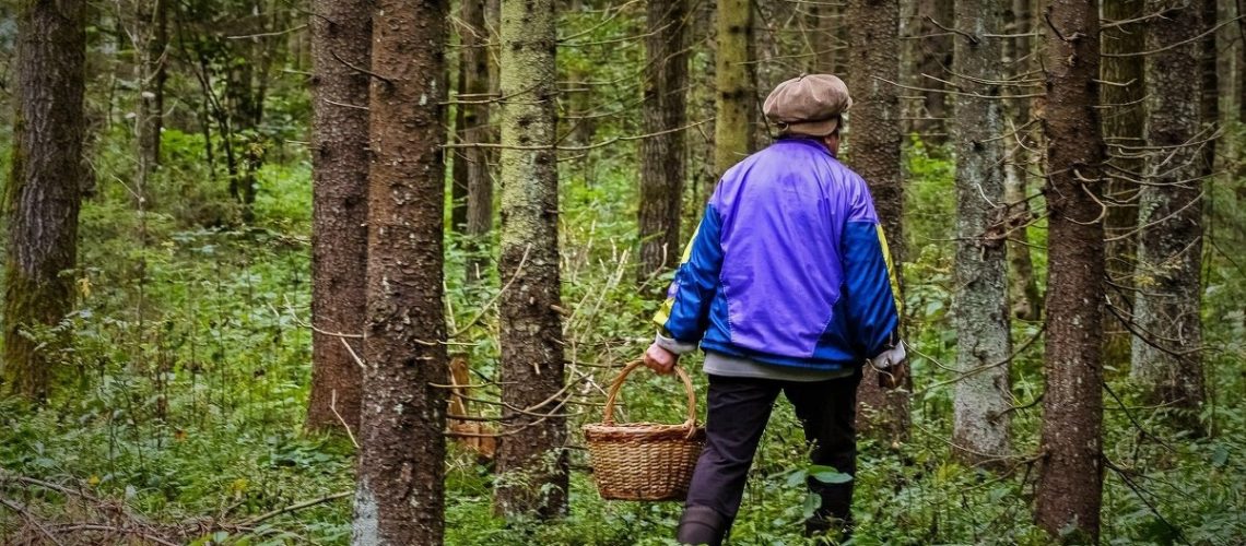 В Югре десять человек потерялись за выходные в лесах