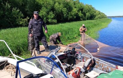 В связи с осенним нерестом югорским рыбакам напомнили об ограничениях по улову