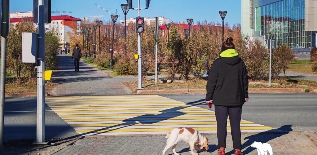 Власти Ханты-Мансийского автономного округа планируют ввести штрафы для владельцев питомцев, создающих шумовое загрязнение.