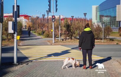Власти Ханты-Мансийского автономного округа планируют ввести штрафы для владельцев питомцев, создающих шумовое загрязнение.