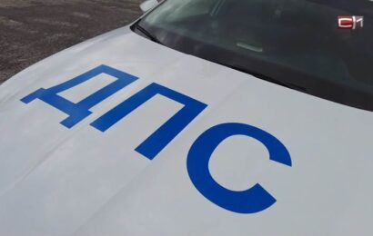 Три лося попали под колеса автомобилей в Югре за две недели