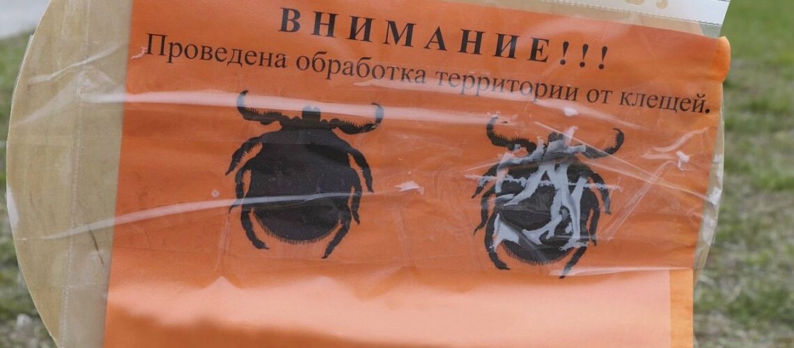 Жителям России рассказали о самых любимых местах кровопийц на теле человека