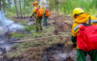 За прошедшую неделю в Югре ликвидировали 17 природных пожаров