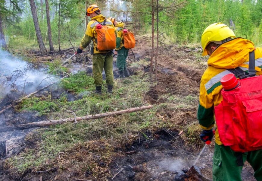 За прошедшую неделю в Югре ликвидировали 17 природных пожаров