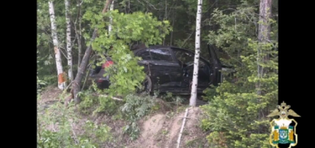 В Югре автомобиль столкнулся с лосем, погибла девушка-пассажир
