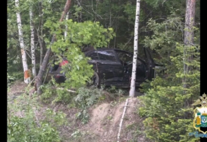 В Югре автомобиль столкнулся с лосем, погибла девушка-пассажир